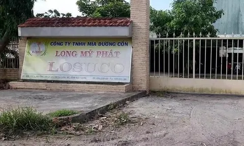 Hậu Giang: Mía đường Cồn Long Mỹ Phát bị cưỡng chế nợ thuế hơn 2,7 tỷ đồng