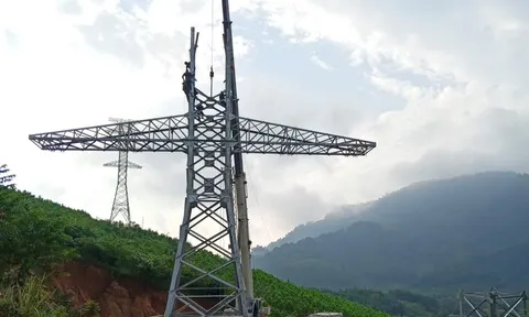 Khẩn trương về đích dự án Đường dây 220kV Nậm Sum - Nông Cống