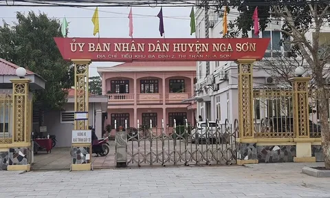 Ban QLDA ĐTXD huyện Nga Sơn (Thanh Hóa): Gói thầu xử lý sự cố sạt lở đê trị giá 69,9 tỷ đồng, tiết kiệm 0,04% thuộc về ai?