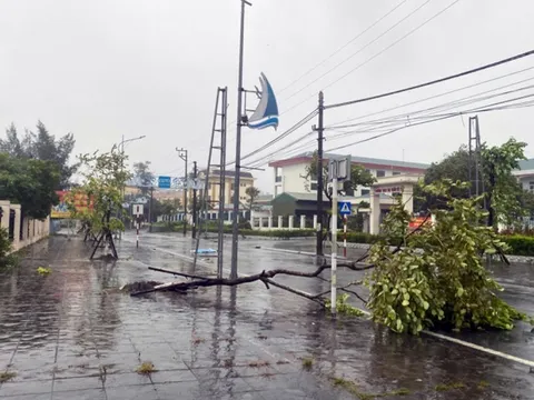 Huyện đảo Cô Tô (Quảng Ninh), Bạch Long Vĩ (Hải Phòng) có gió mạnh lên tới cấp 14, giật cấp 15, 16