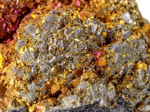 Phát hiện mỏ vàng khủng trị giá 83 tỷ USD