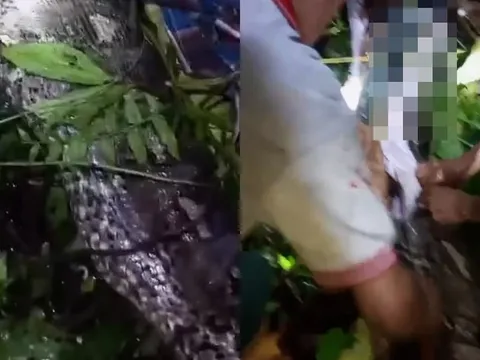 Clip: Người đàn ông cao 1m6 được lấy ra từ bụng 1 con trăn
