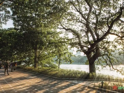 Thời tiết ngày 30/11 các vùng trên cả nước thế nào?