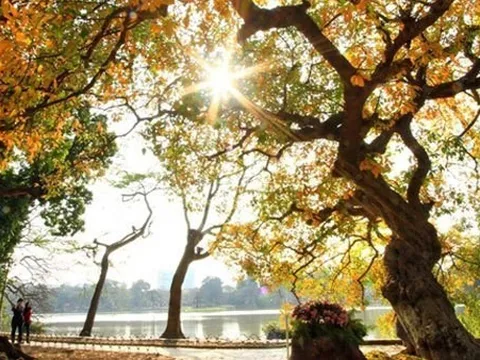 Tin dự báo thời tiết mới nhất ngày 01/12: Ngày nắng đẹp trên cả nước