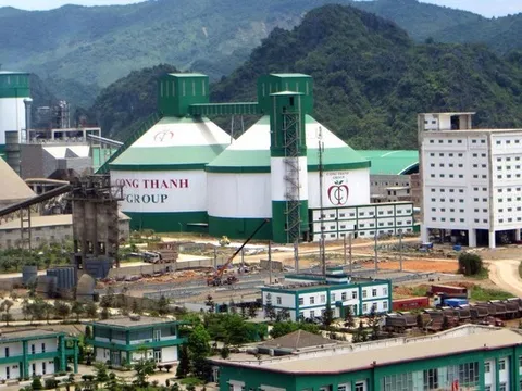 Vì sao Xi măng Công Thanh bị xử phạt hơn 500 triệu đồng?