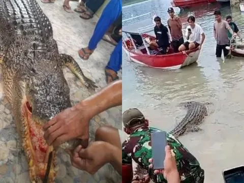 Bất lực nhìn cá sấu khổng lồ ngoi lên mặt nước tấn công người phụ nữ