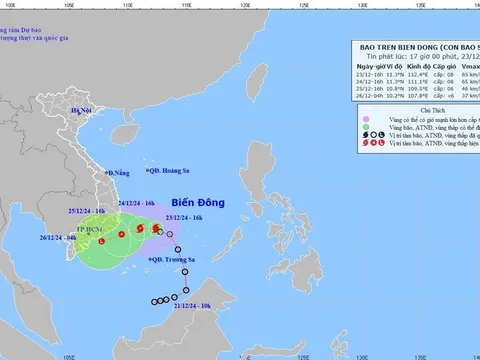 Chuyên gia khí tượng "phân tích" bão số 10 đi hướng nào?
