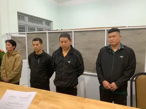 Nhóm đối tượng dùng nước “kẹo” sản xuất giá đỗ có thể đối diện mức án nào?