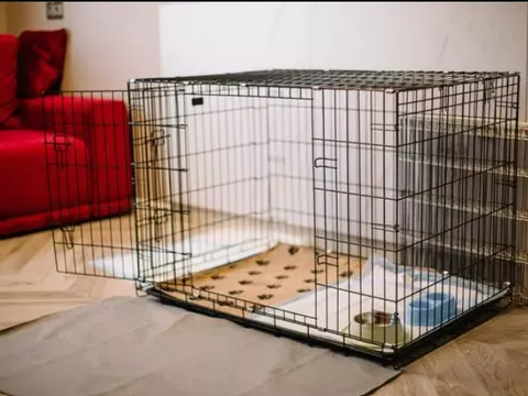 Người mẹ đơn thân bị buộc tội dán băng dính bịt miệng, nhốt bé gái 7 tuổi vào lồng chó