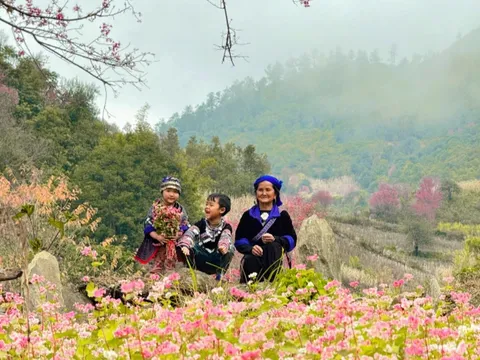 Dự báo thời tiết ngày 02/01: Miền Bắc từ 11 độ, miền Nam sẽ mưa trái mùa