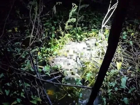 Điểm lạ tại nơi phát hiện bộ xương người dưới mương nước ở TP.HCM