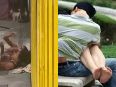 Hành động phát ngượng của cặp đôi cởi đồ yêu đương giữa phố khiến một người phải gọi chó xua đuổi
