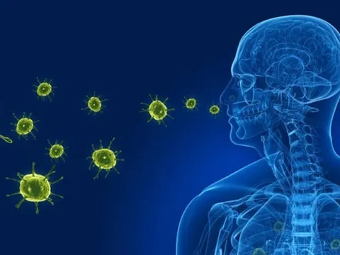Virus gây viêm phổi trên người tại Trung Quốc: Bộ Y tế nói gì?