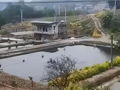 Lão nông nghèo từ câu trộm 7 triệu tiền điện đến 22 nhát dao oan nghiệt, bản án của tòa gây bất ngờ