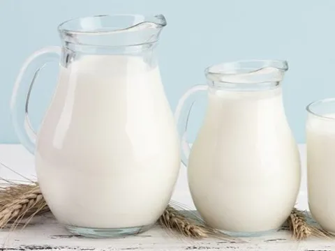 Cảnh báo không uống sữa tươi chưa qua tiệt trùng sau khi phát hiện cúm gia cầm lây nhiễm sang động vật có vú