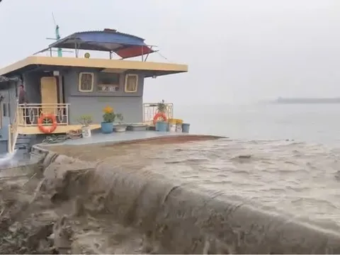 Clip: Các đối tượng khai thác cát trái phép quy mô lớn trên sông Hồng là ai?