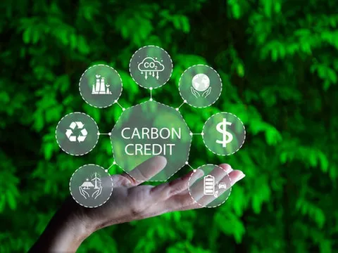 Vận hành thí điểm Sàn giao dịch carbon