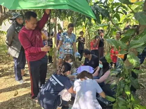 Nghe âm thanh lạ trong vườn chuối, cụ bà phát hiện sự thật đau lòng