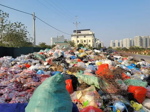 Bãi rác ngập bánh kẹo còn nguyên bao bì ở thủ phủ La Phù, Hà Nội, chính quyền nói gì?