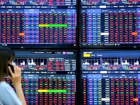 Những trường hợp được miễn tham gia các khóa học chuyên môn về chứng khoán là gì?