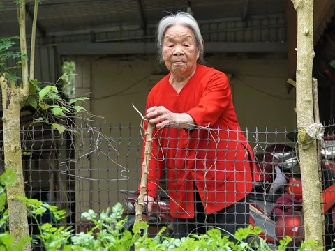 Sống hơn một thế kỷ, hai cụ già hơn trăm tuổi tiết lộ thói quen ăn uống khác biệt đến bất ngờ