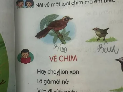 Phụ huynh tự  tin "bắt lỗi" sách giáo khoa, đưa cả ChatGPT ra làm “nhân chứng", tra từ điển xong mới ngỡ ngàng