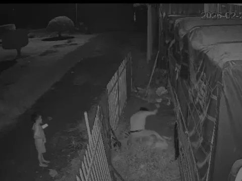 Đồng Tháp: Nghi án chồng đâm vợ liên tiếp trước mặt con nhỏ, xót xa lời van xin "đừng xử lý mẹ mà"