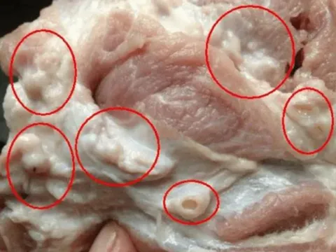 4 bộ phận của lợn nhiều người mê tít nhưng chuyên gia khuyên nên hạn chế kẻo "rước bệnh"