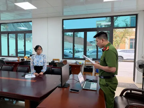 Từ buôn bán hàng cấm đến trốn thuế: Nữ giám đốc Nguyễn Thị Thanh Hiên đối mặt thêm cáo buộc