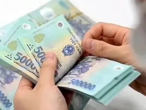 Mỗi người lao động sẽ được nhận hơn 500.000 đồng tiền trợ cấp theo Nghị định 213 khi được huy động tham gia hoạt động nào và gồm những khoản tiền nào?