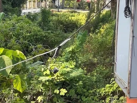 Người đàn ông bị điện giật tử vong khi đang thực hiện vụ trộm: Hiện trường ám ảnh với chiếc đèn pin vẫn còn trên đầu