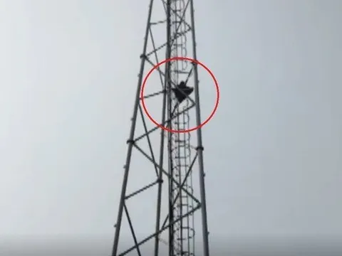 Chấn động: Cô gái leo cột sóng cao hàng chục mét, ra điều kiện với cảnh sát để cứu người yêu