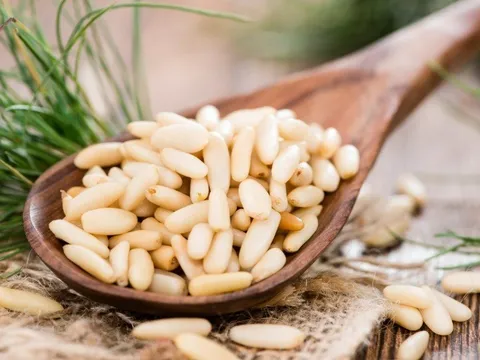 Loại hạt “tí hon” nhưng là “gã khổng lồ” dinh dưỡng, ở Việt Nam rụng đầy gốc ít ai ăn