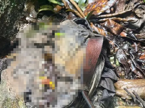 Rùng mình phát hiện bộ xương người trong bìa rừng Quảng Ngãi, nghi đã tử vong nhiều tháng: Ai là nạn nhân?