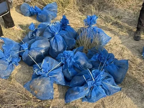 Kinh hoàng cánh đồng mía biên giới, phát hiện hàng chục "túi lưới lạ" động đậy trong đêm