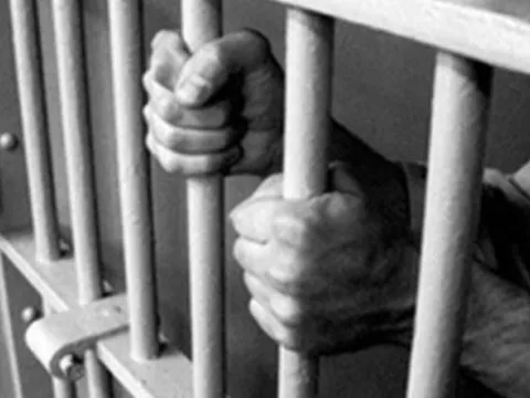 Nữ diễn viên nổi tiếng bị bắt là ai?