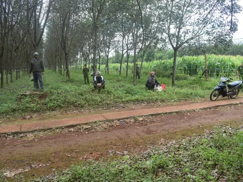 13 năm sống ngoài vòng pháp luật, kẻ sát hại người phụ nữ cướp vàng bị bắt khi tóc đã bạc phơ