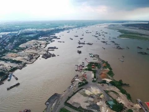 Bí ẩn loài cá khiến dân sành ăn phải săn lùng, giá từ vài triệu đến hàng chục triệu đồng
