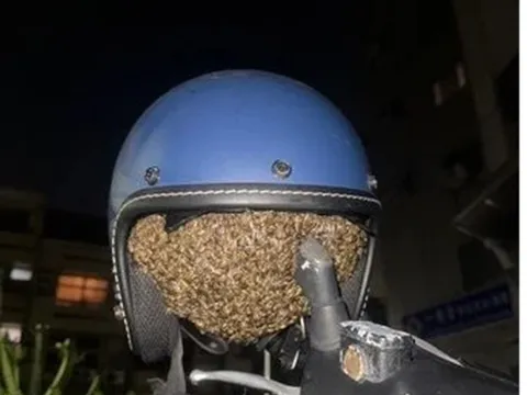 Treo mũ bảo hiểm qua đêm, người phụ nữ "tái mặt" phát hiện vật thể lạ lông lá bên trong