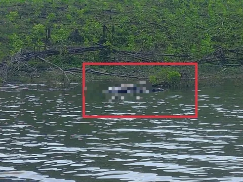 Công an Lâm Đồng vào cuộc điều tra thi thể nổi trên hồ Đá Trải, nghi vấn bất thường