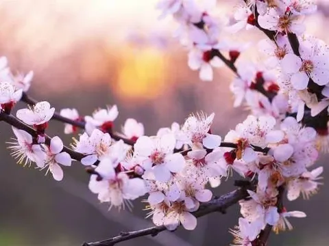 Đời này có rực rỡ hay không thì có một thứ bạn nhất định phải đầu tư