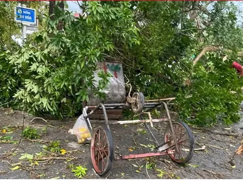 Mẹ đơn thân cứu 2 học sinh giữa cơn lốc, bản thân nguy kịch: Hình ảnh nạn nhân bị cây cổ thụ đổ trúng khiến nhiều người rùng mình