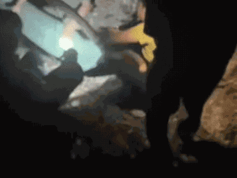 Sống sót kỳ diệu: Tìm thấy người phụ nữ sau 10 ngày trong rừng, khoảnh khắc được giải cứu gây xúc động