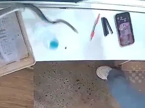 Camera ghi lại cảnh tượng "lạnh sống lưng" tại nhà hàng: Chỉ chậm 1 giây, điều tồi tệ đã xảy ra