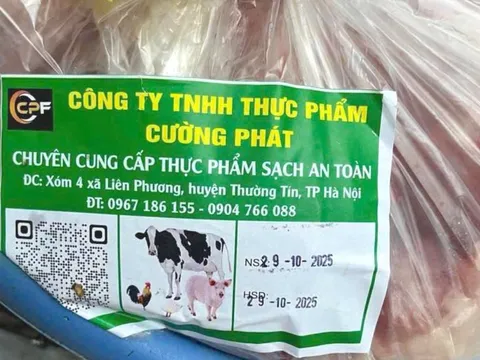 Vụ bếp ăn trường tiểu học dùng thịt bẩn của Công ty Cường Phát: Học sinh tiểu học từng phải nhập viên do nhiễm khuẩn đường ruột