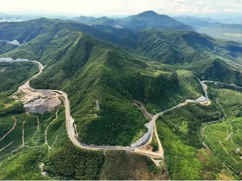 Sinh vật lạ xuất hiện tại dãy Trường Sơn, chưa từng thấy trên thế giới, có gì đặc biệt?