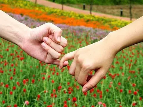 Vợ cũ liên tục nhắn tin đòi nối lại tình xưa khi biết tôi có bạn gái mới