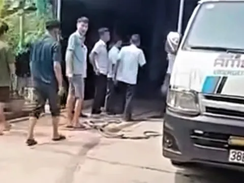 Video chó nặng khoảng 40kg xổng chuồng, tấn công người chủ 75 tuổi tử vong: Công an đang xác minh