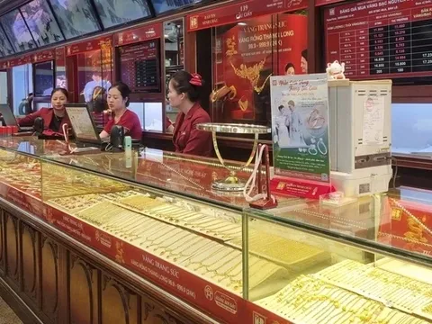 Giá vàng Bảo Tín Minh Châu giảm mạnh trước thời điểm công an công bố vi phạm