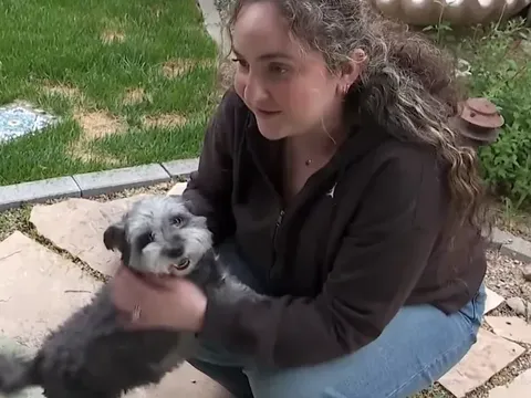 Mất tích suốt 5 năm, chú chó bất ngờ xuất hiện trở lại khiến chủ nhân không kìm được nước mắt